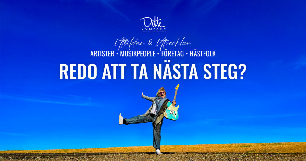 Ditte Company