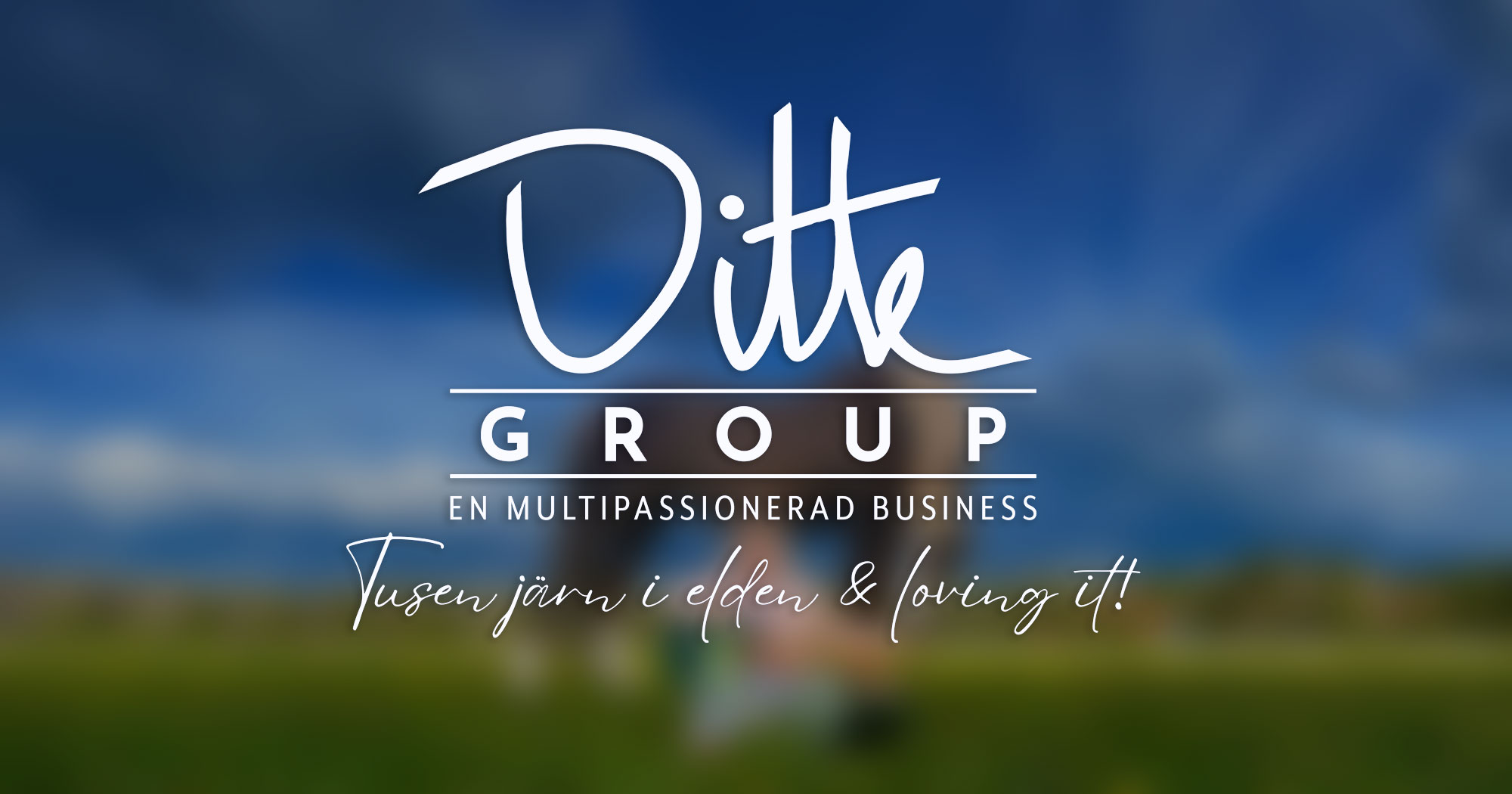 Ditte Group företagsnamn